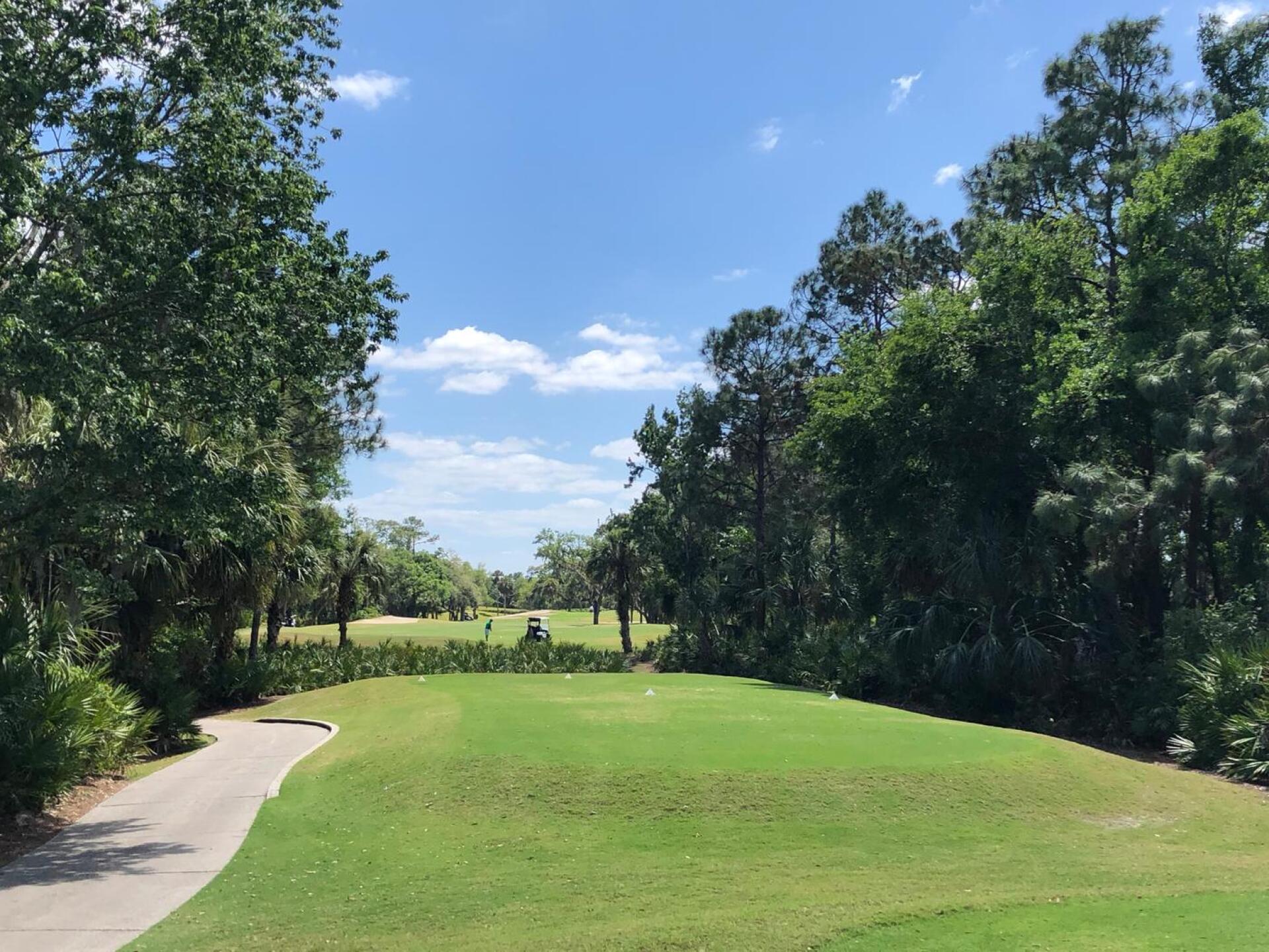 (Photo submitted by BryanTweed16 on 04/01/2018)