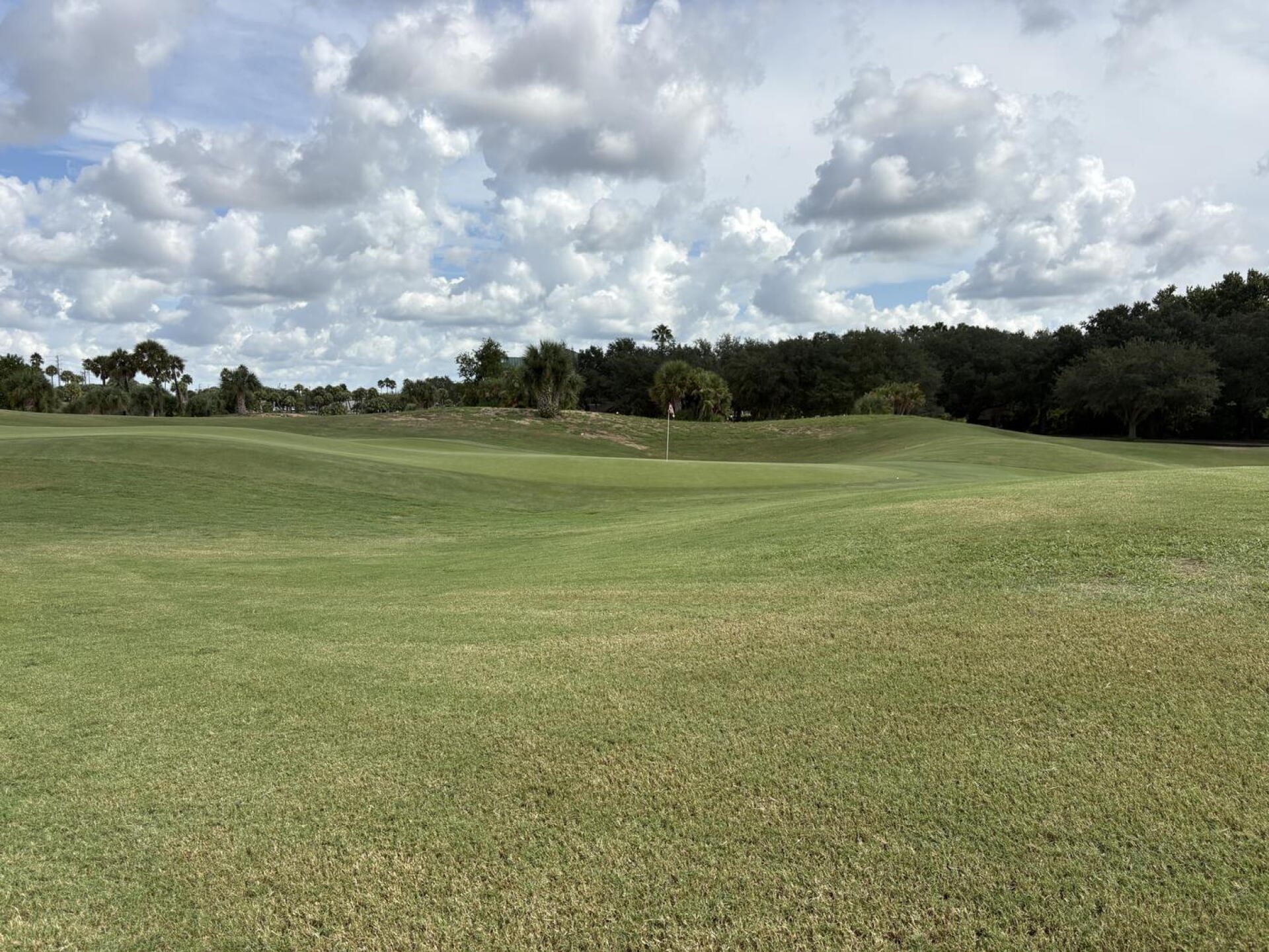 (Photo submitted by u314160039775 on 08/25/2026)