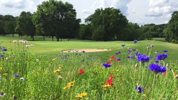 Bella Vista Country Club - Country Club Course in Bella ...