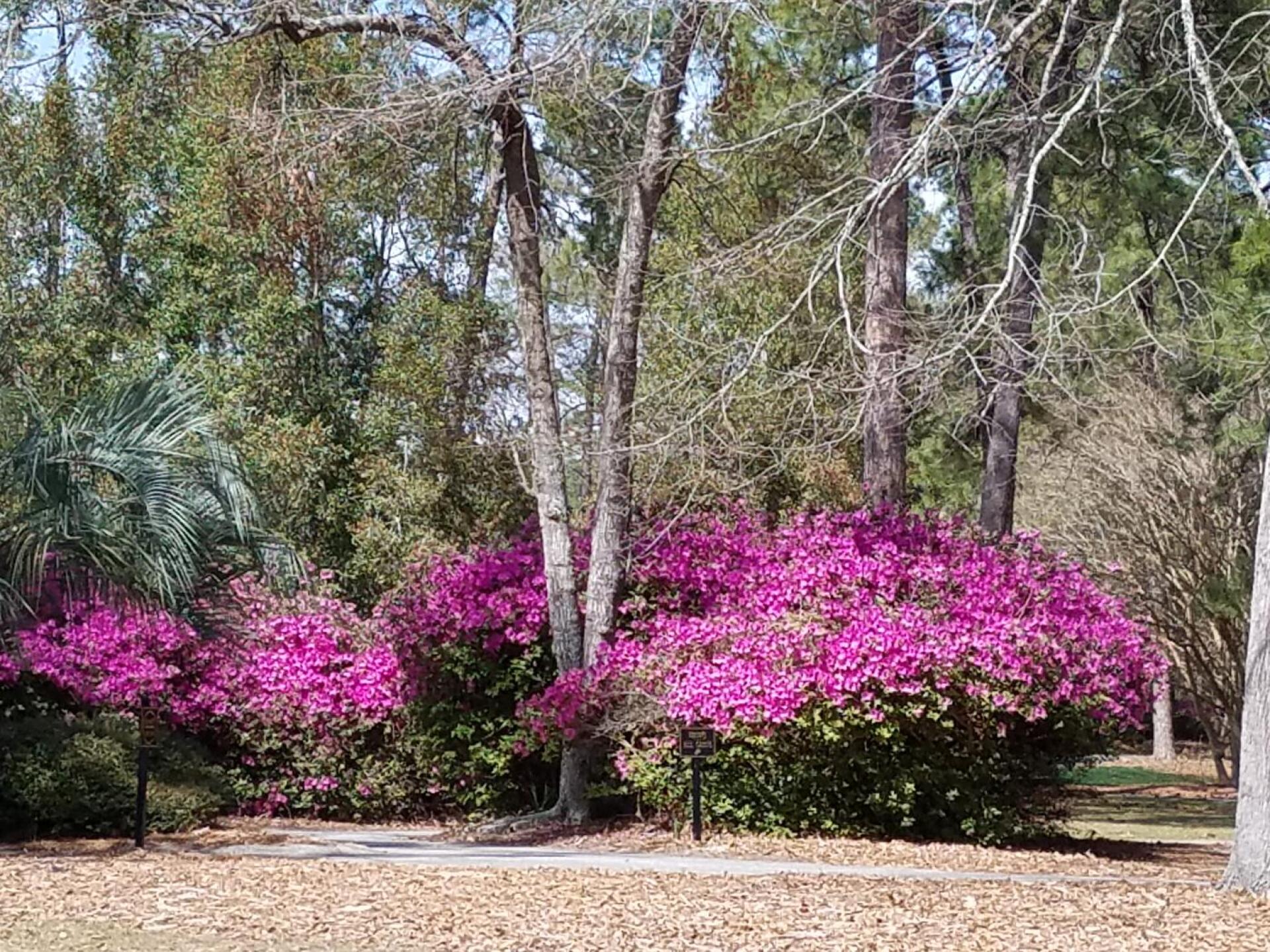 (Photo submitted by u334378086 on 03/11/2017)