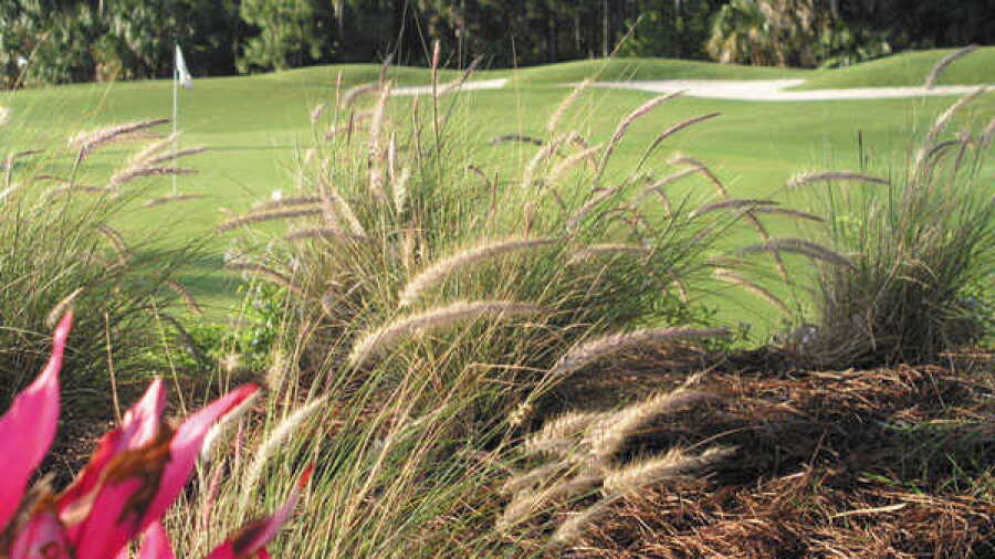 Naples Heritage GC