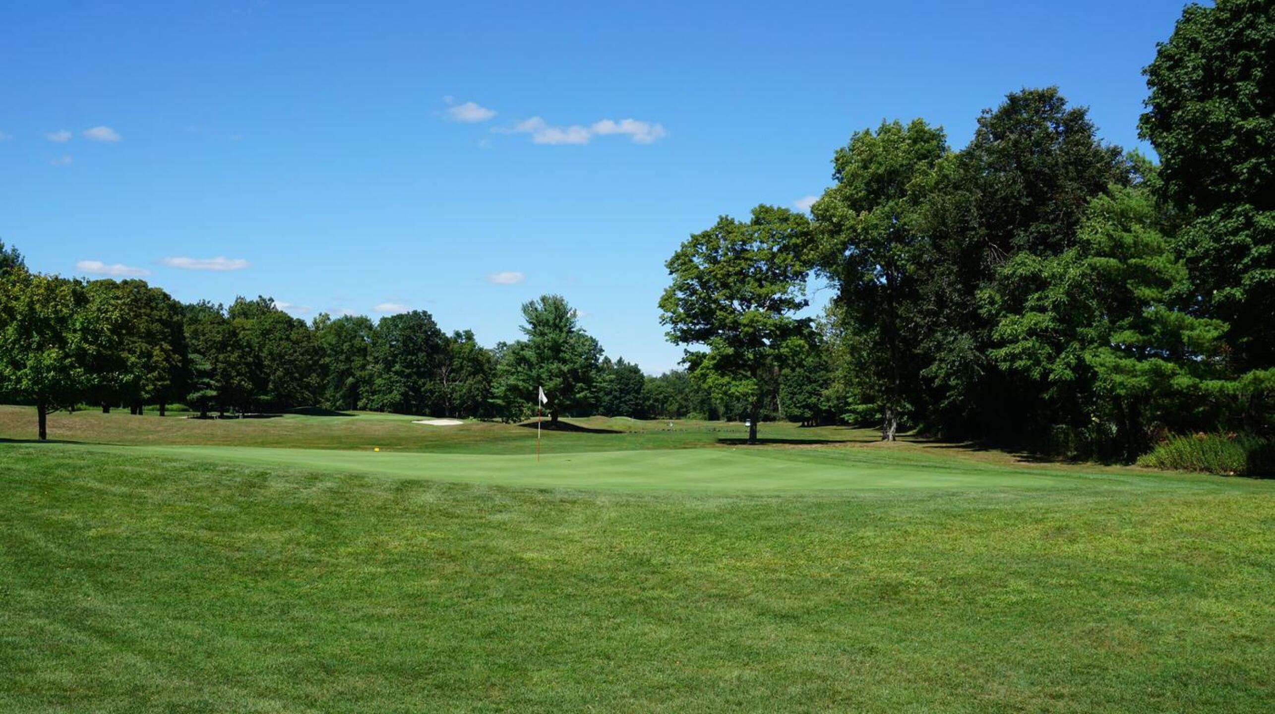 Fourth, again: from behind its green.  The fifth green lies in the background. (Photo submitted by AptlyLinked on 08/21/2020)