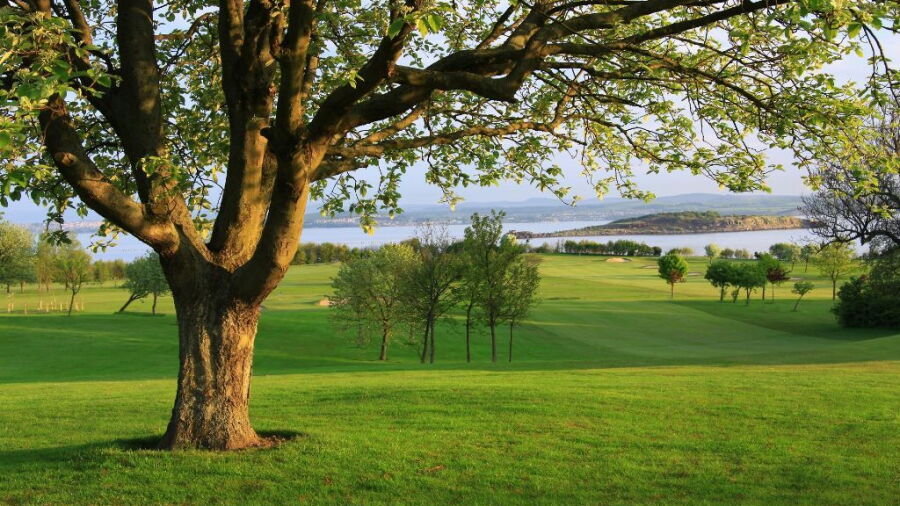 View from Silverknowes