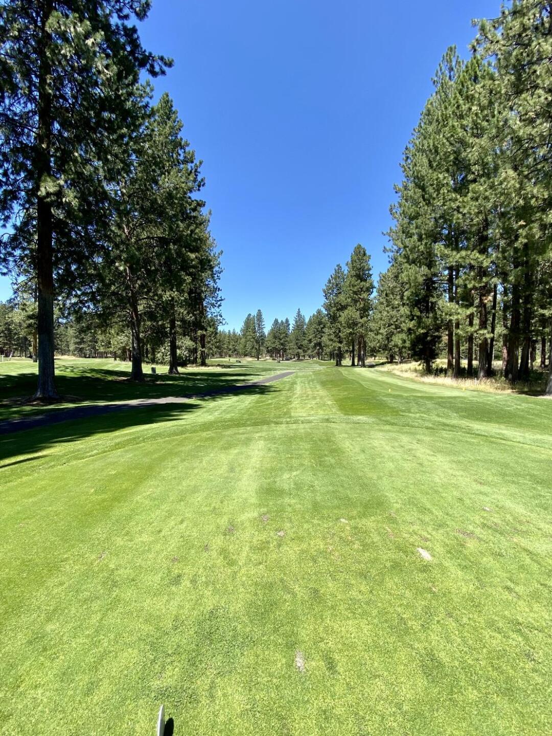 (Photo submitted by Christophe8003424 on 07/30/2022)