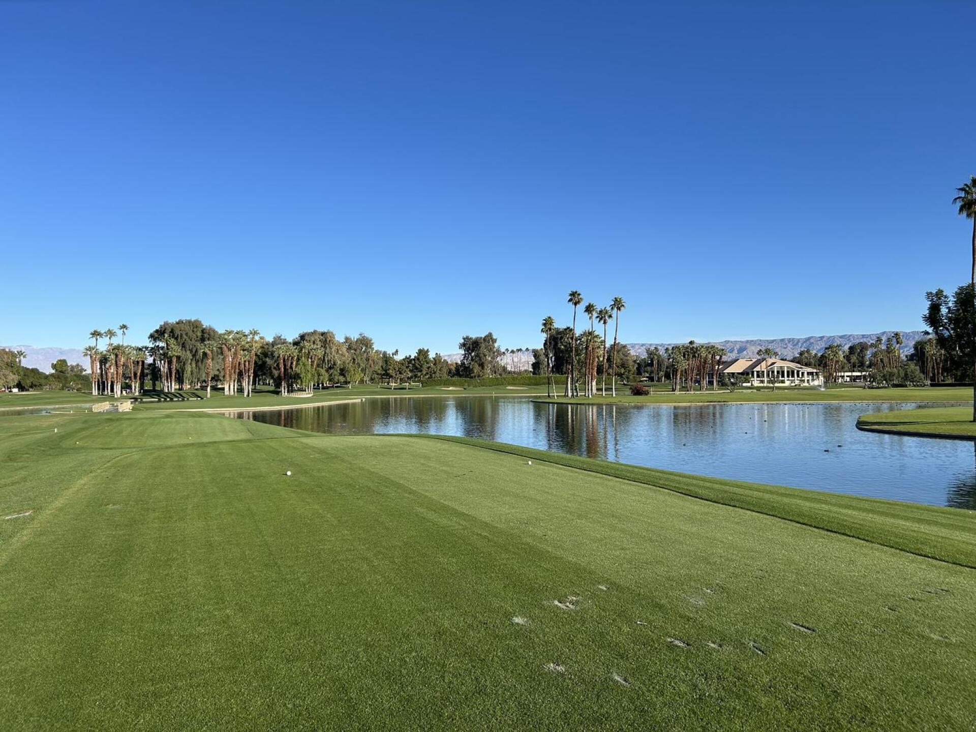 (Photo submitted by perkas on 11/26/2025)