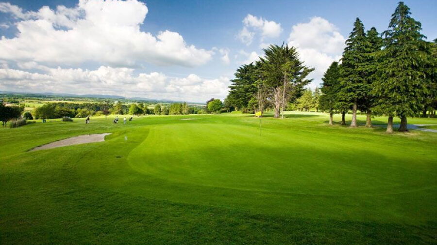 Mallow GC