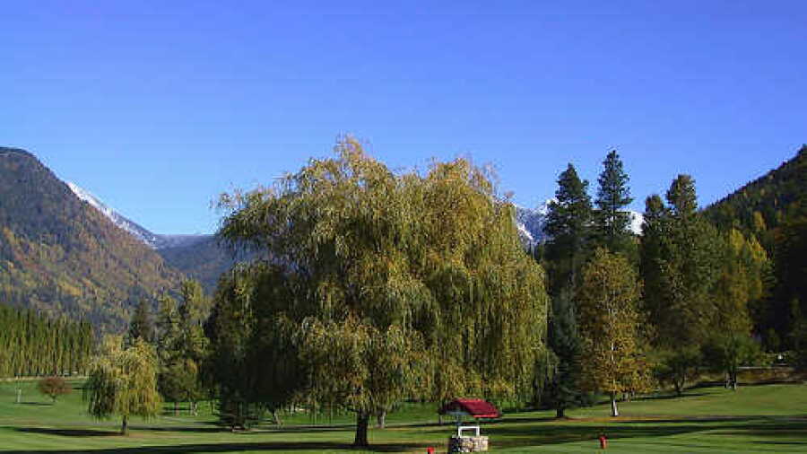 Kokanee Springs: #18