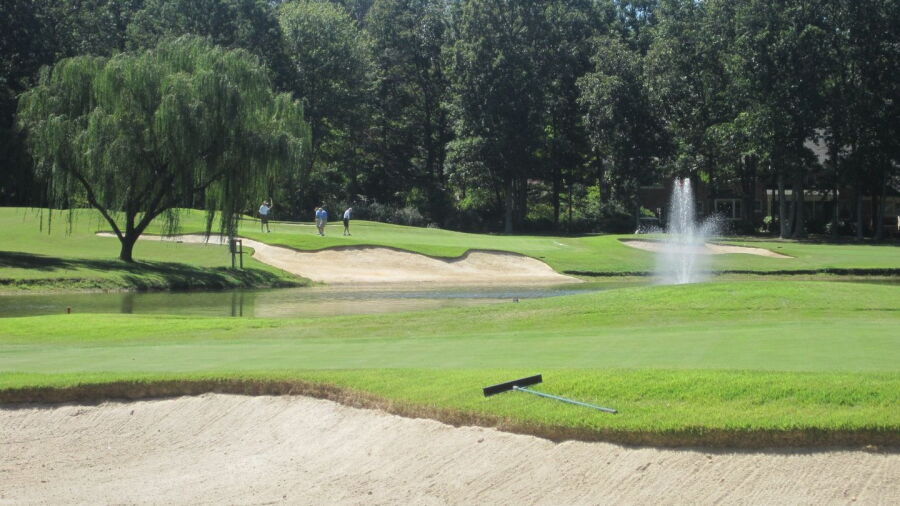Salisbury CC