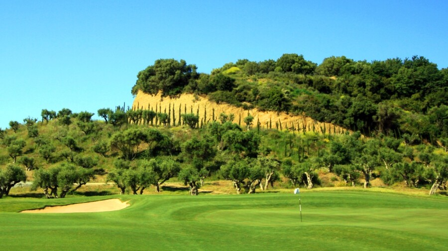 Bay golf course at Costa Navarino - olive trees