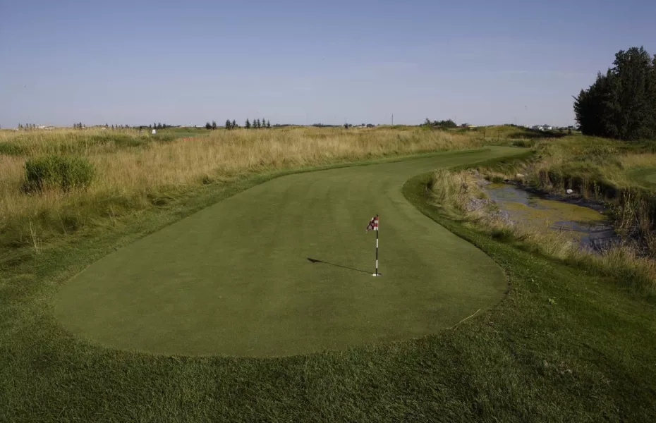 RedTail Landing GC - Putting: #11