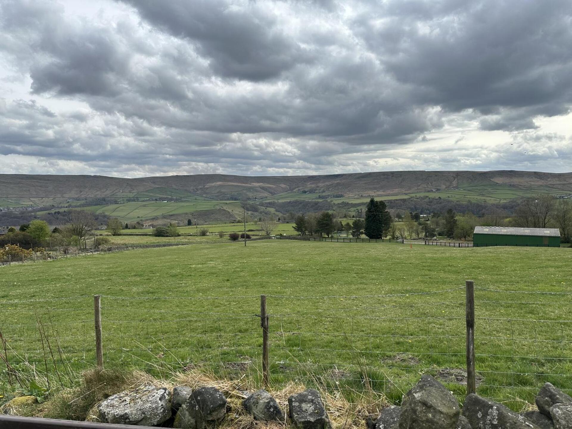 (Photo submitted by Joey1892 on 04/15/2025)