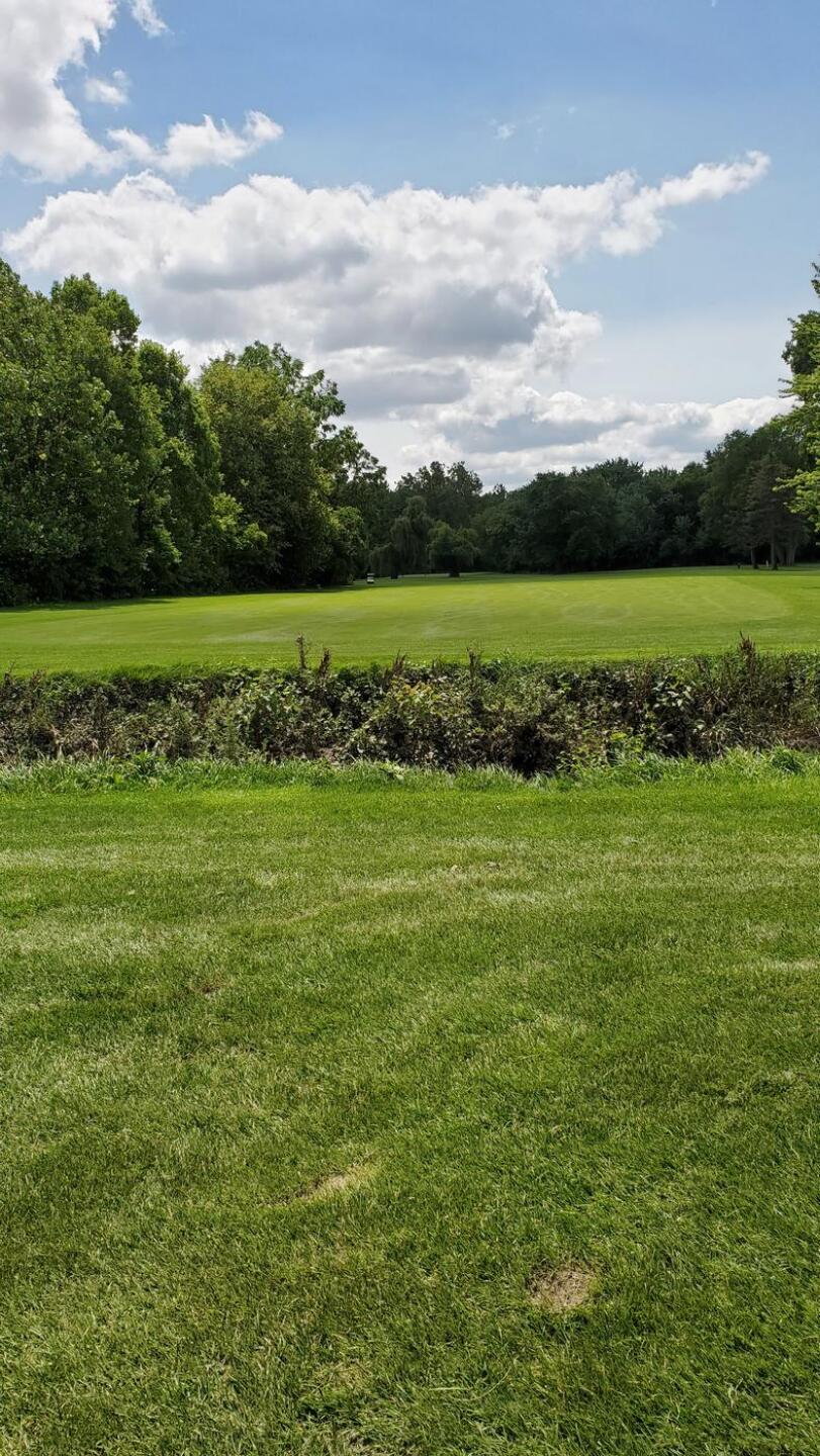 (Photo submitted by lYBD2bkBk3z3dMRkJ7Z9 on 10/05/2021)