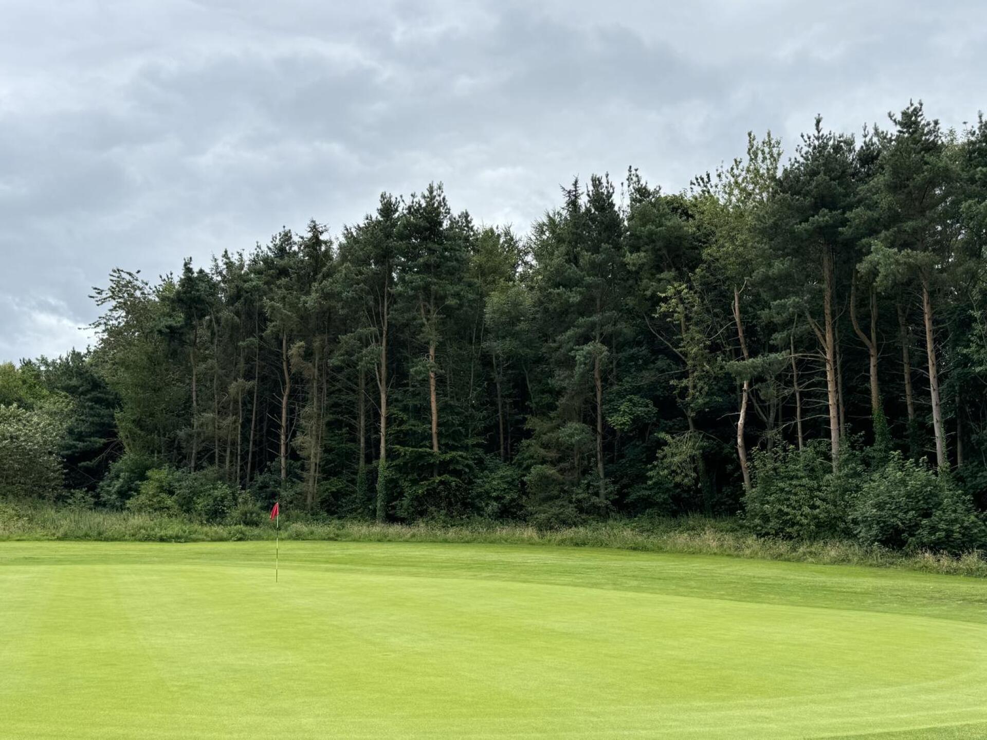 (Photo submitted by super25 on 08/07/2024)