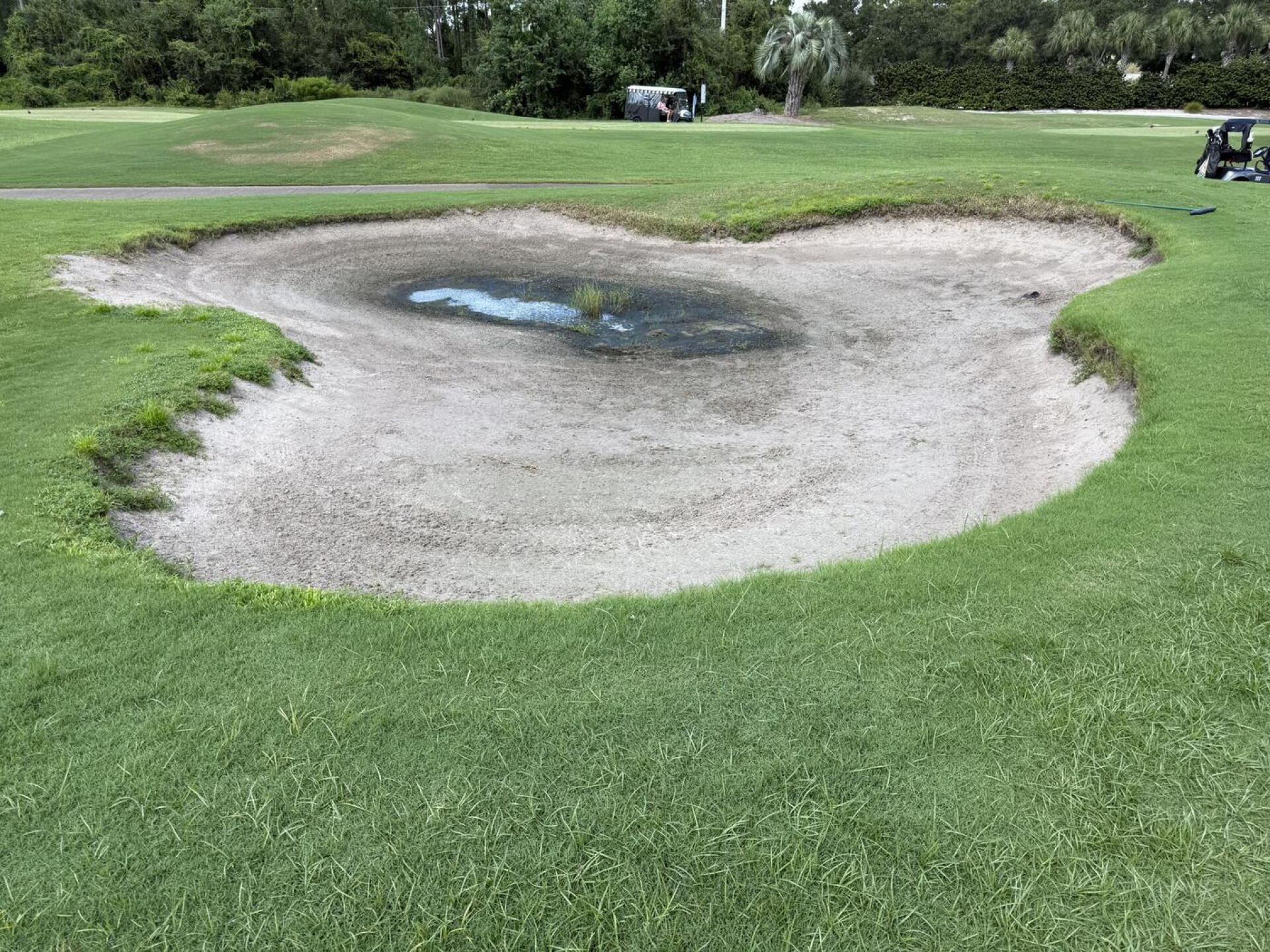 Sand Traps poorly kept (Photo submitted by u314162272459 on 09/09/2026)