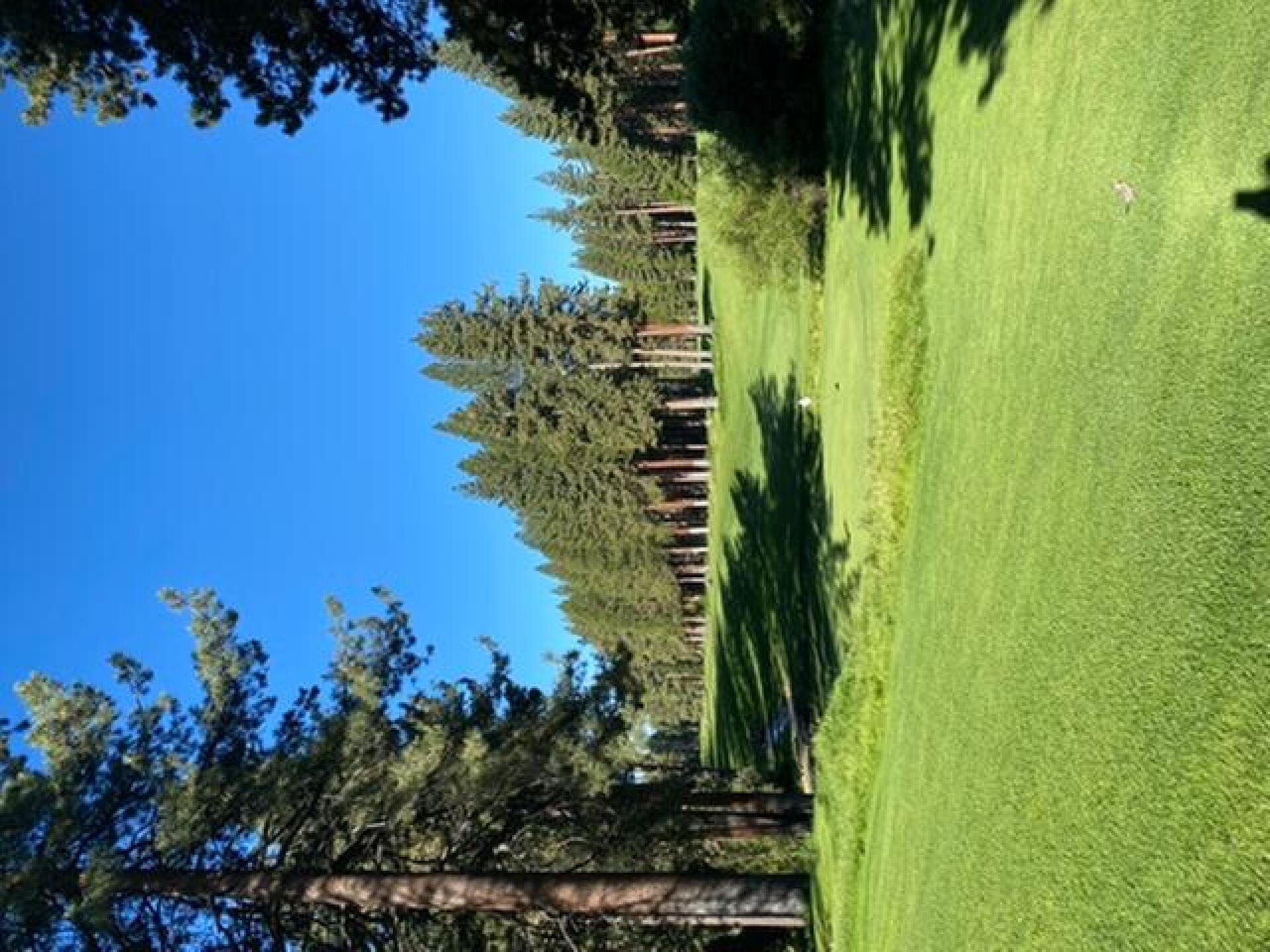 (Photo submitted by TheGolfMadman on 07/10/2020)