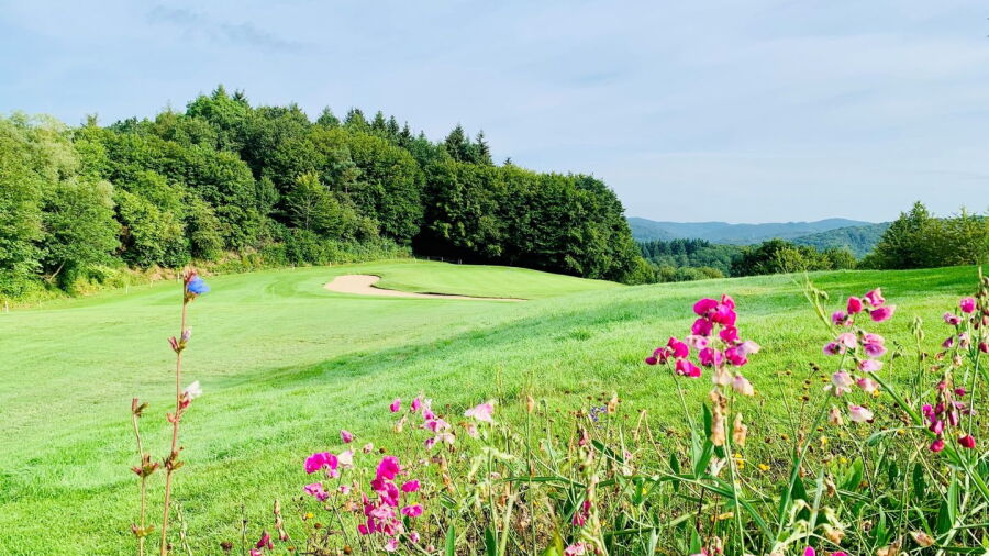 Dillenburg GC: #3