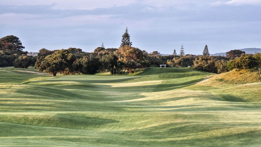 Albany GC