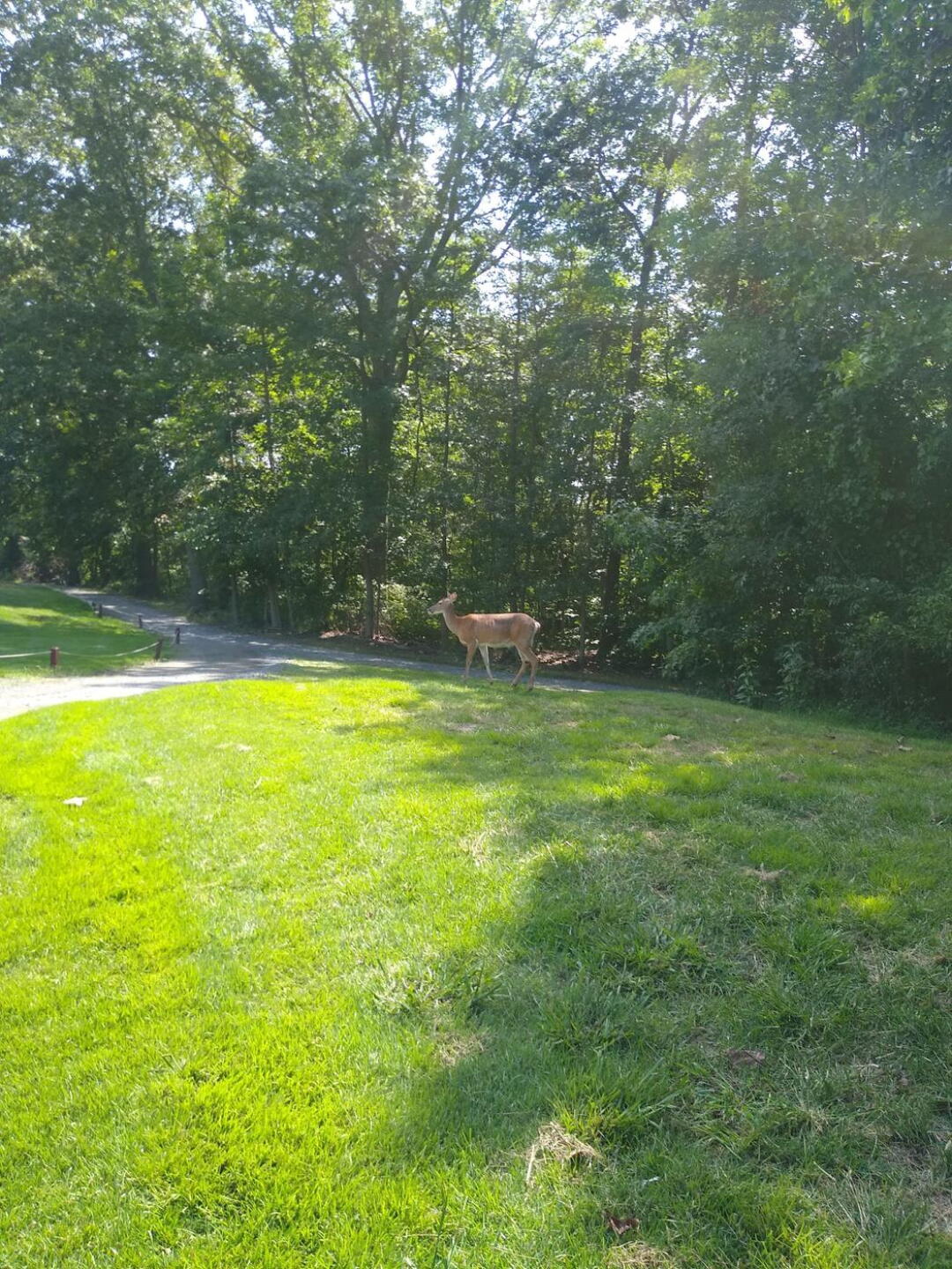 (Photo submitted by Marko12345 on 09/22/2020)