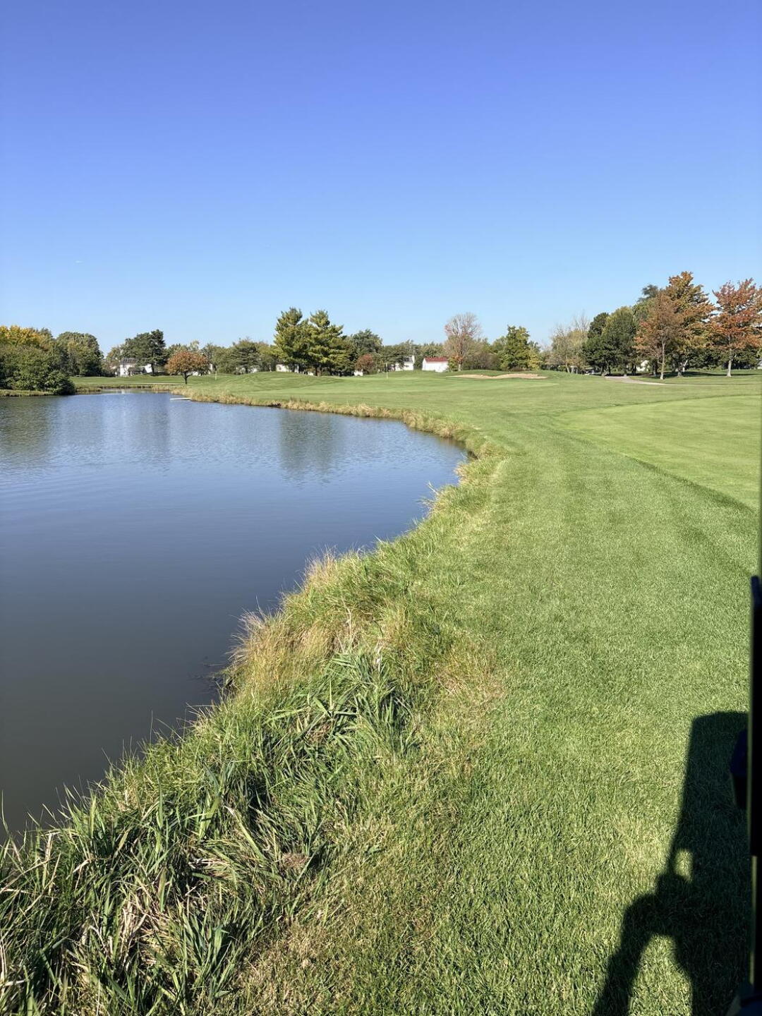 (Photo submitted by u000007374475 on 10/20/2026)
