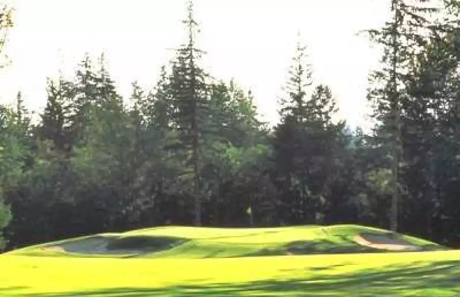 The Plateau Club: #8