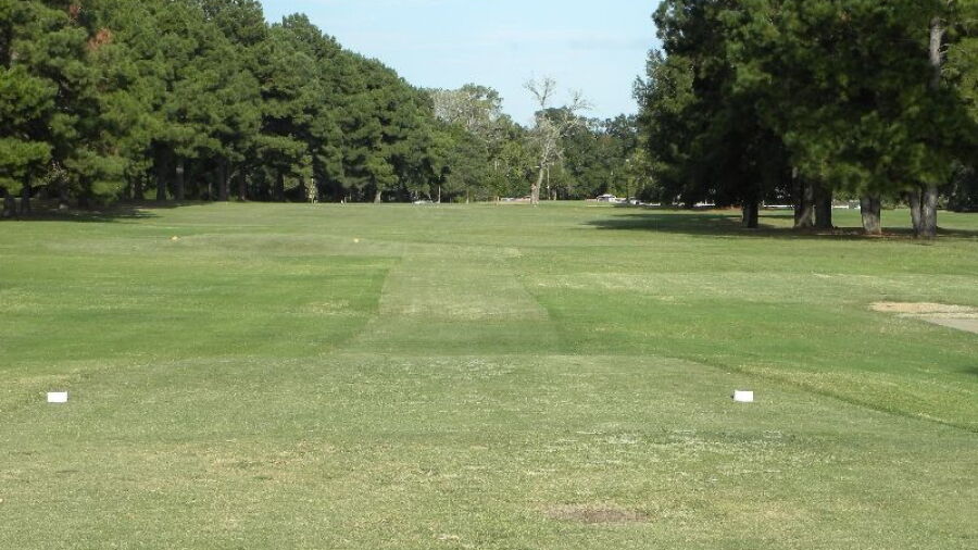 Copperas Hollow CC: #3