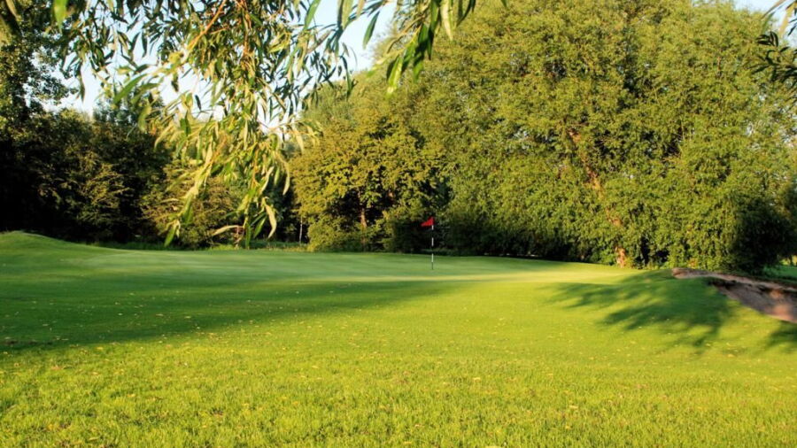 Derby GC Sinfin: #14
