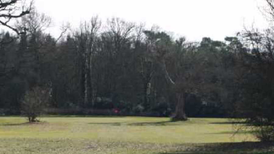 Westonbirt Leisure: #4