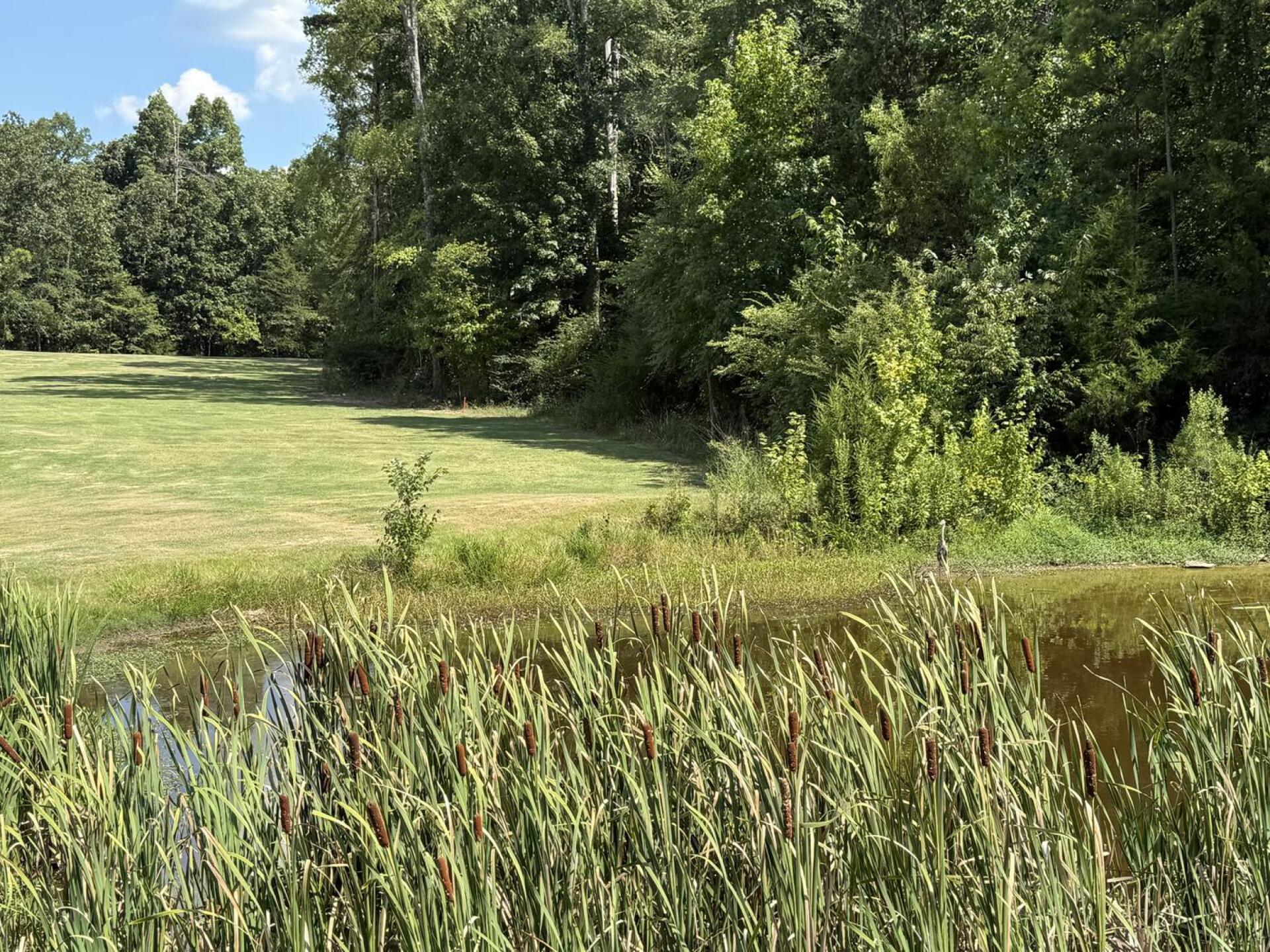 (Photo submitted by sgc17 on 07/28/2025)