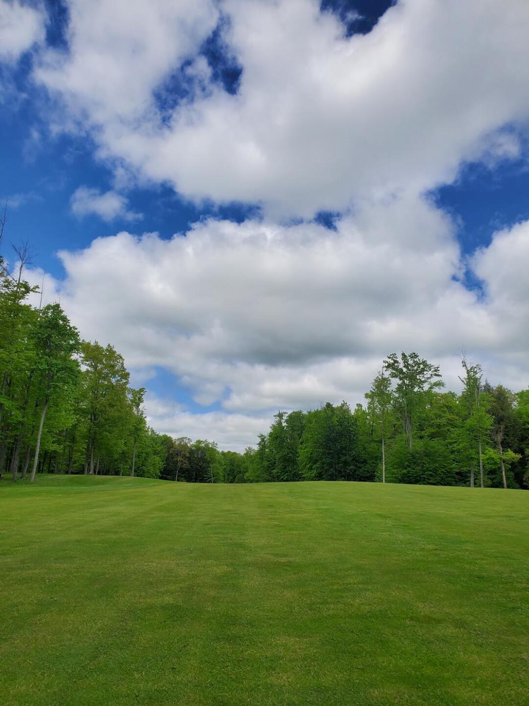 (Photo submitted by Xea0sjCiLVlXvleXEnDc on 05/19/2024)