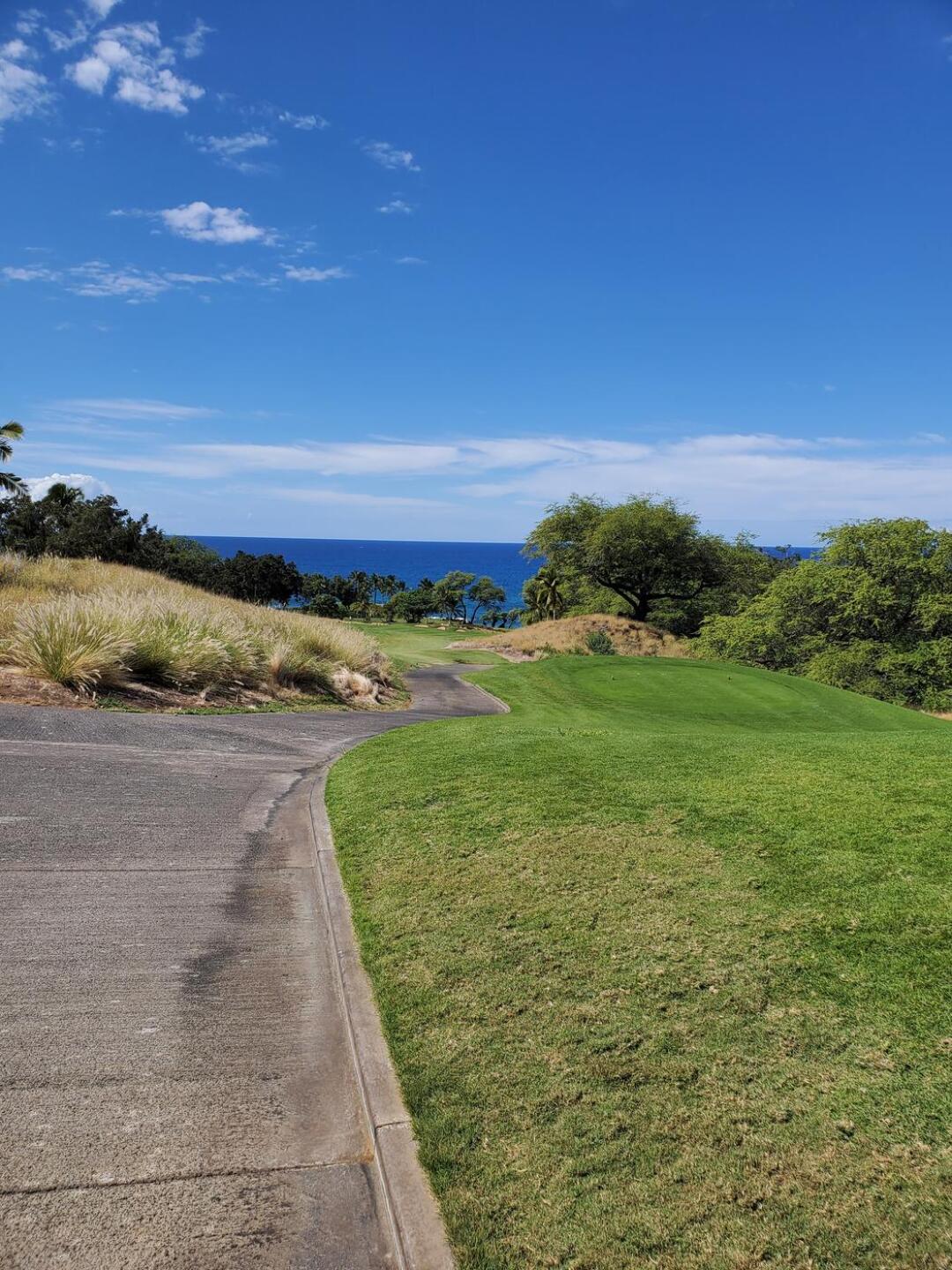 (Photo submitted by u314162438099 on 02/01/2022)