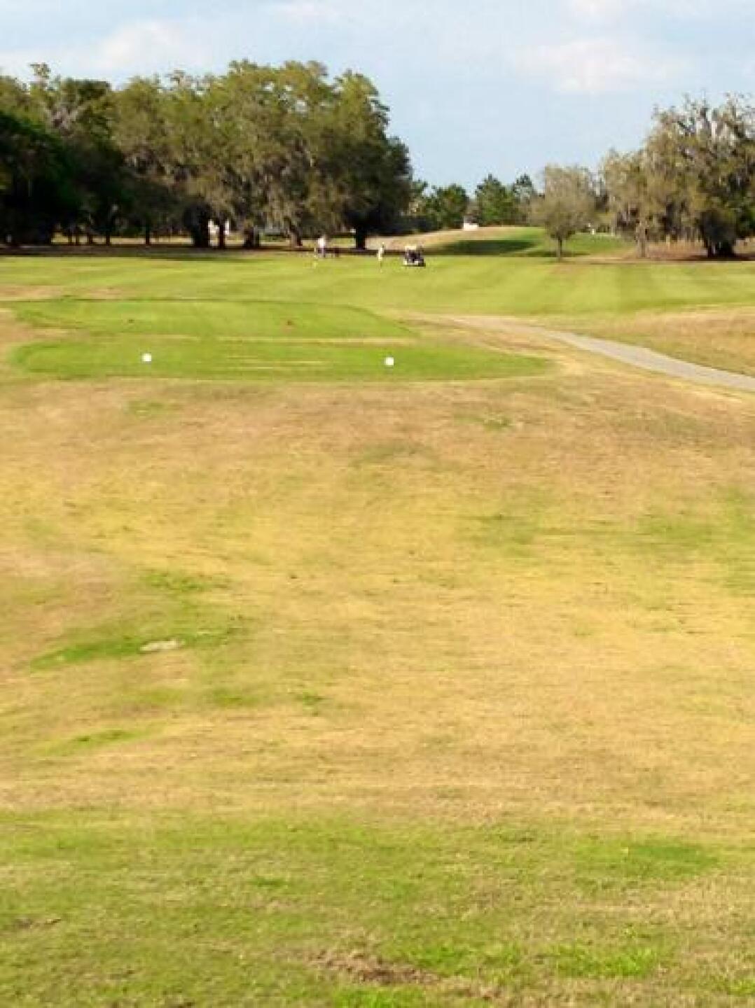 #13 fairway, long and wide. Ignore the brown grass in the foreground - the fairways are lush enough to hit fairway woods on the par 5s with ease. (Photo submitted by Buckleahy on 02/23/2013)