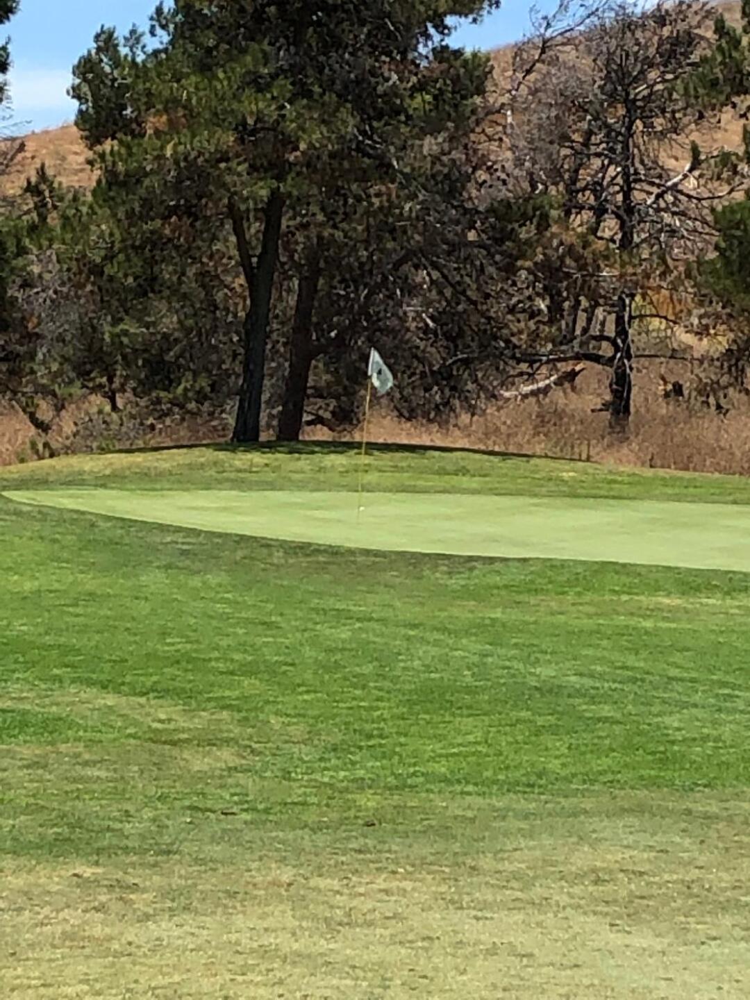 Hole 5, 190 White Tee (Photo submitted by u000002181070 on 08/05/2019)