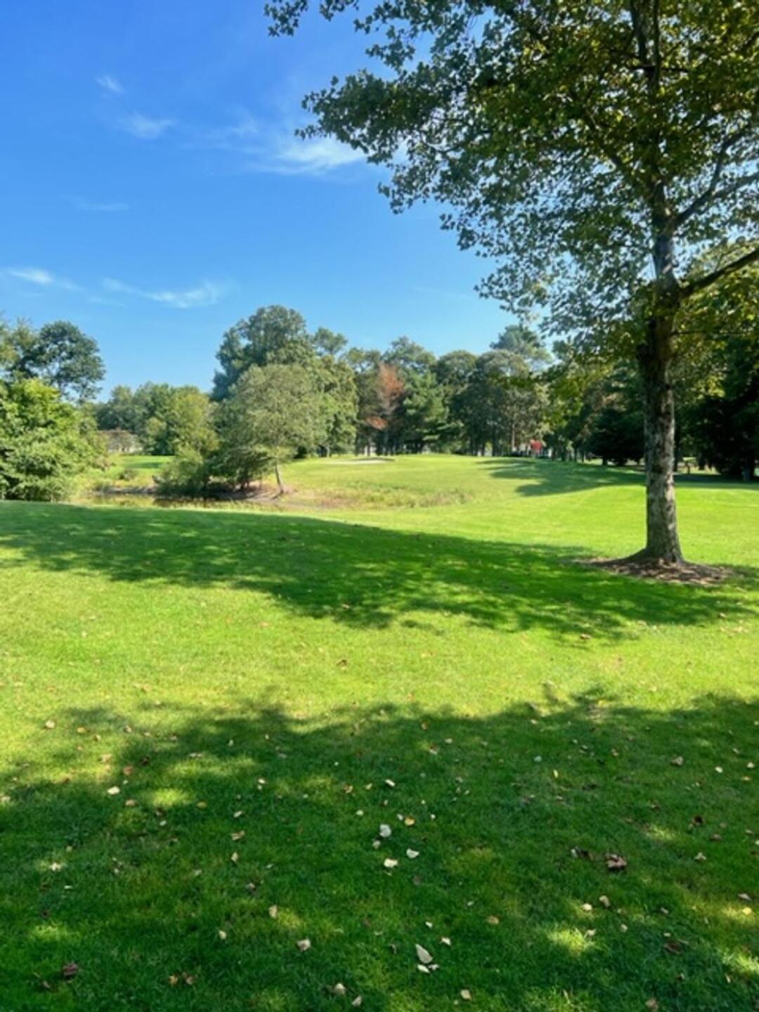 (Photo submitted by u00000760482 on 09/22/2022)