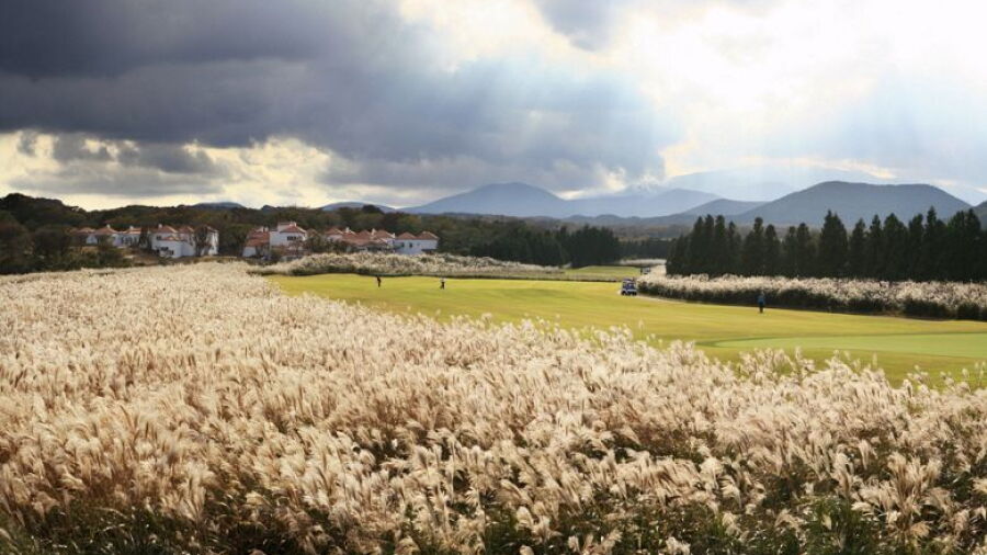 Ecoland Golf & Resort - Wild