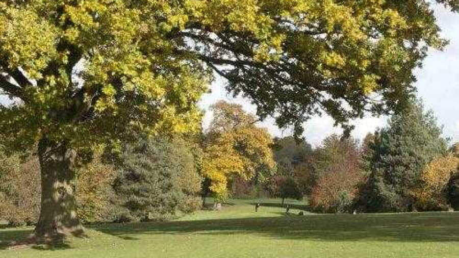 Aldenham GC - Church: #5