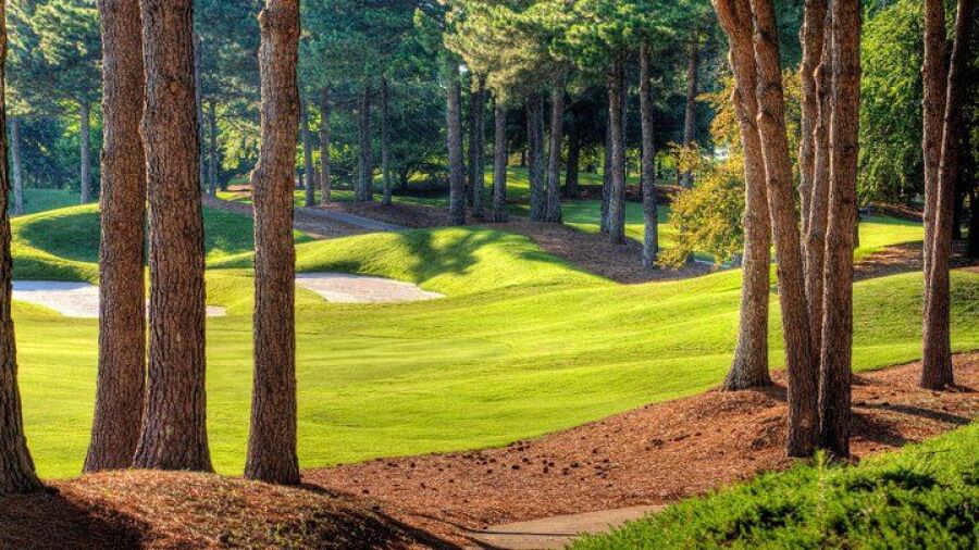 St. Ives CC