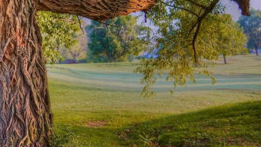 Nowata CC