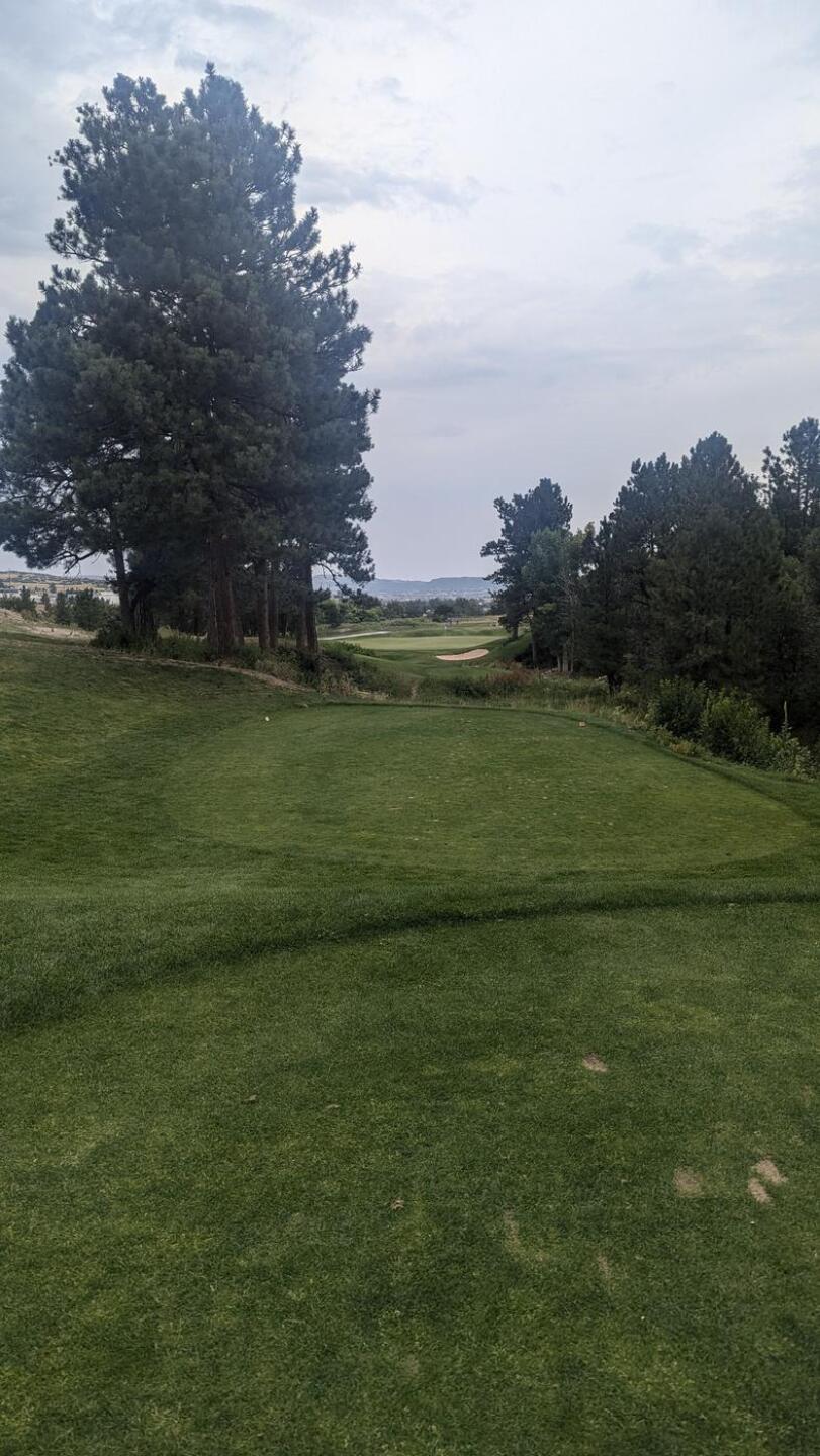 (Photo submitted by tiburonazo on 09/04/2024)