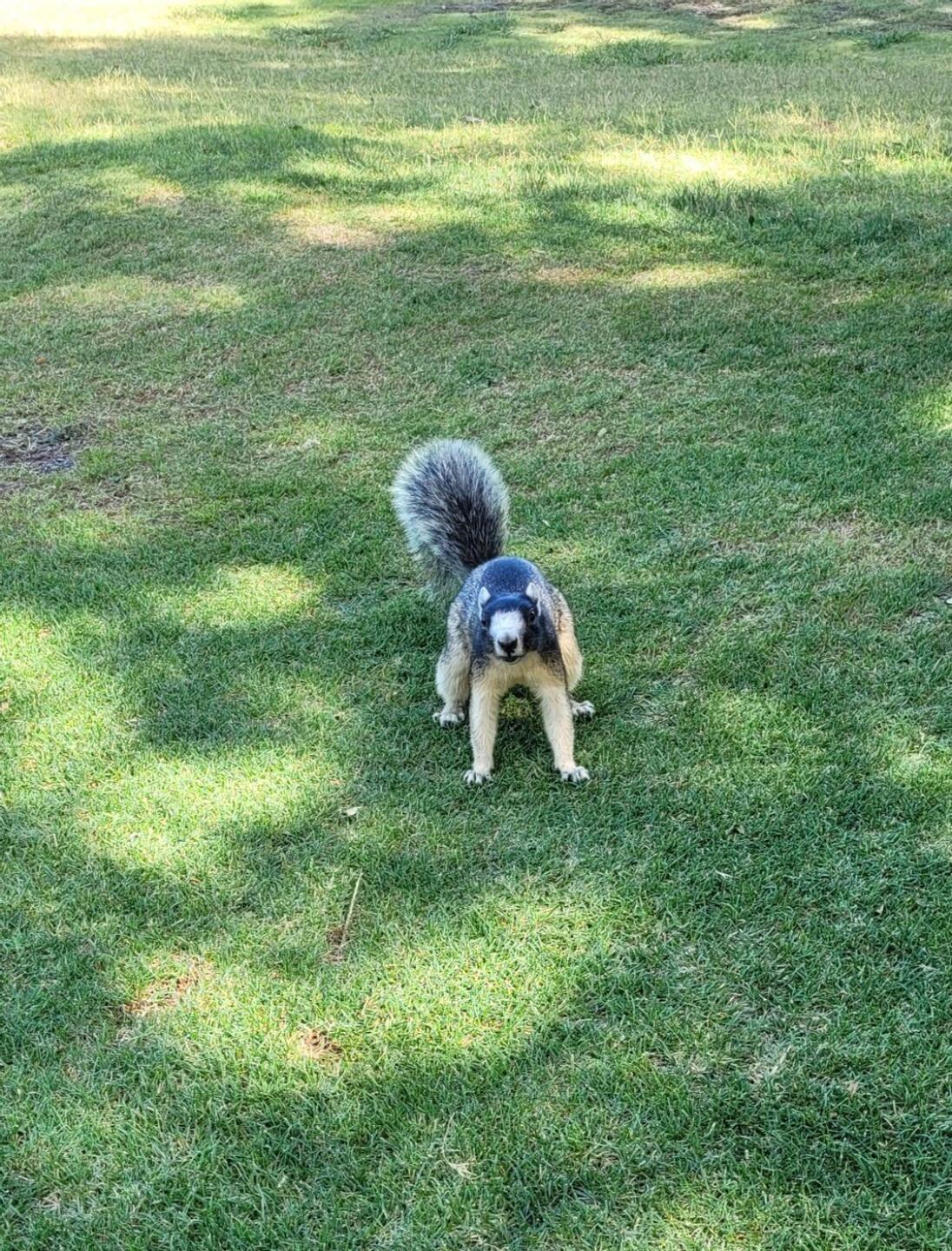 (Photo submitted by bmsturgeon on 05/23/2021)