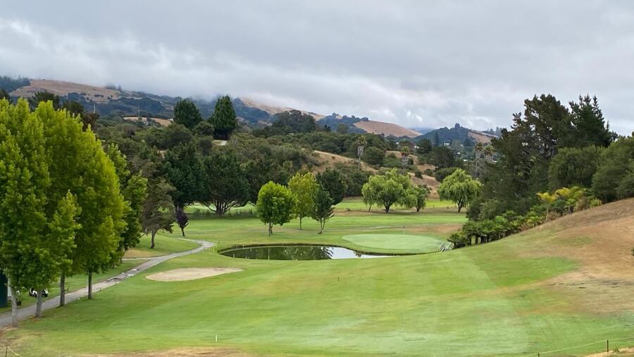 Monterey Pines - pond 