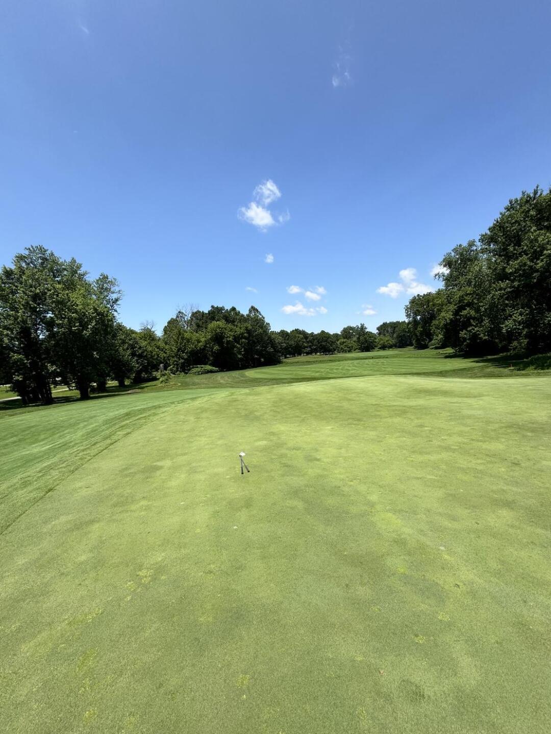 (Photo submitted by stevenvoegele on 06/20/2025)