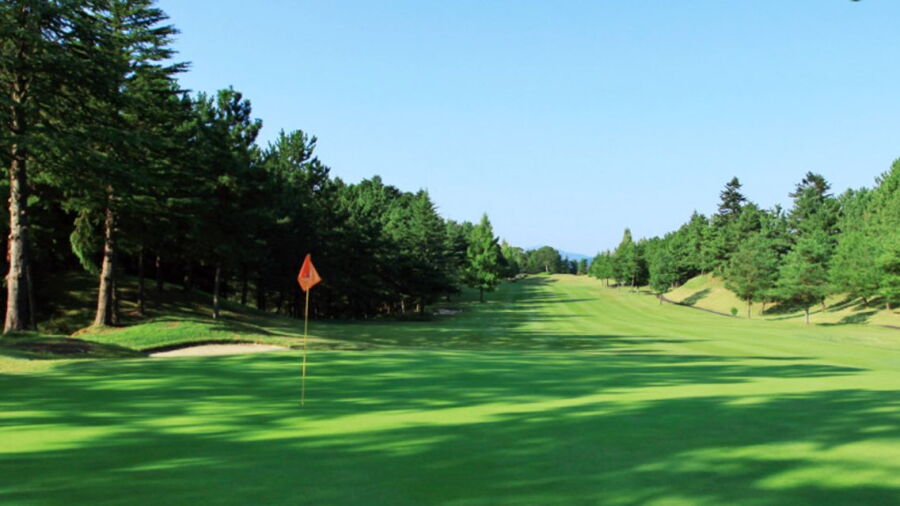 A view of a hole at Tokyo Birdie Club.