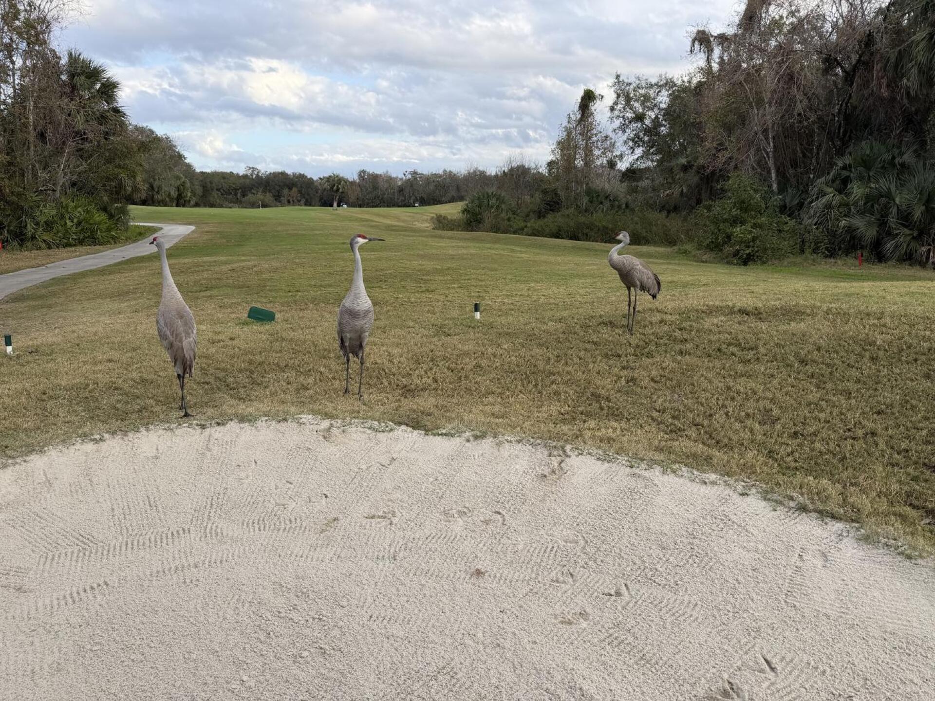 Spectators (Photo submitted by 7FGx7vcvyZDfZDp7gn8s on 01/14/2026)