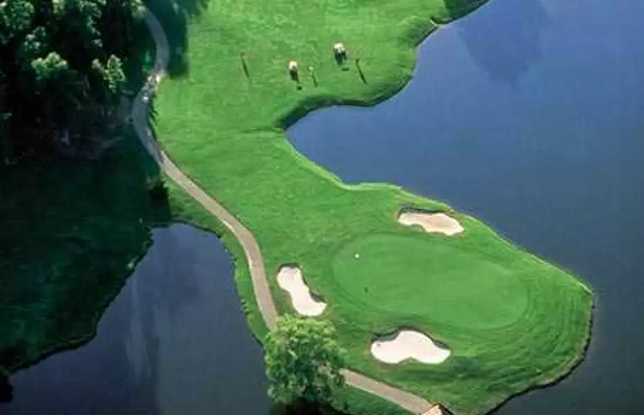 Ford's Colony at Williamsburg - Marsh Hawk