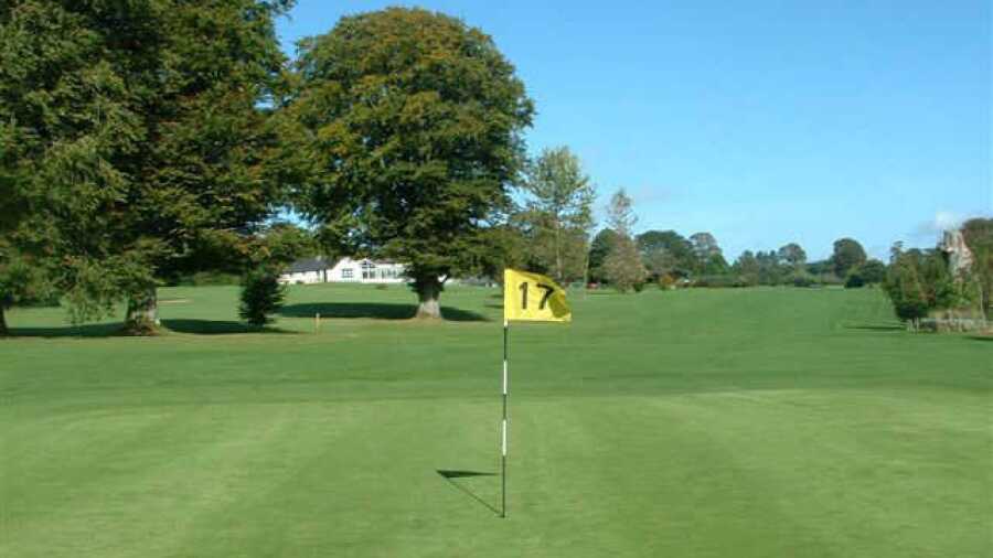 Baltinglass GC: #17