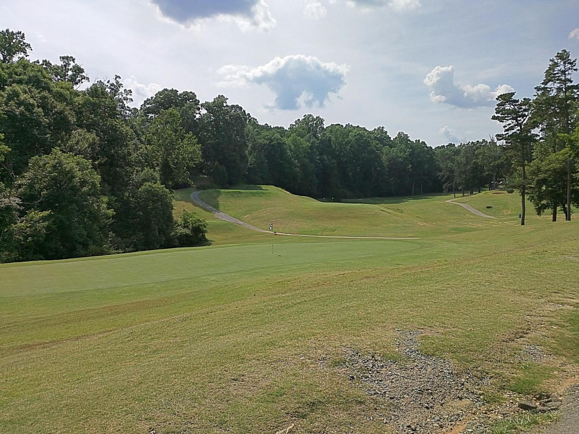 #3 green with #2 green in the background (Photo submitted by ccharles on 06/12/2017)