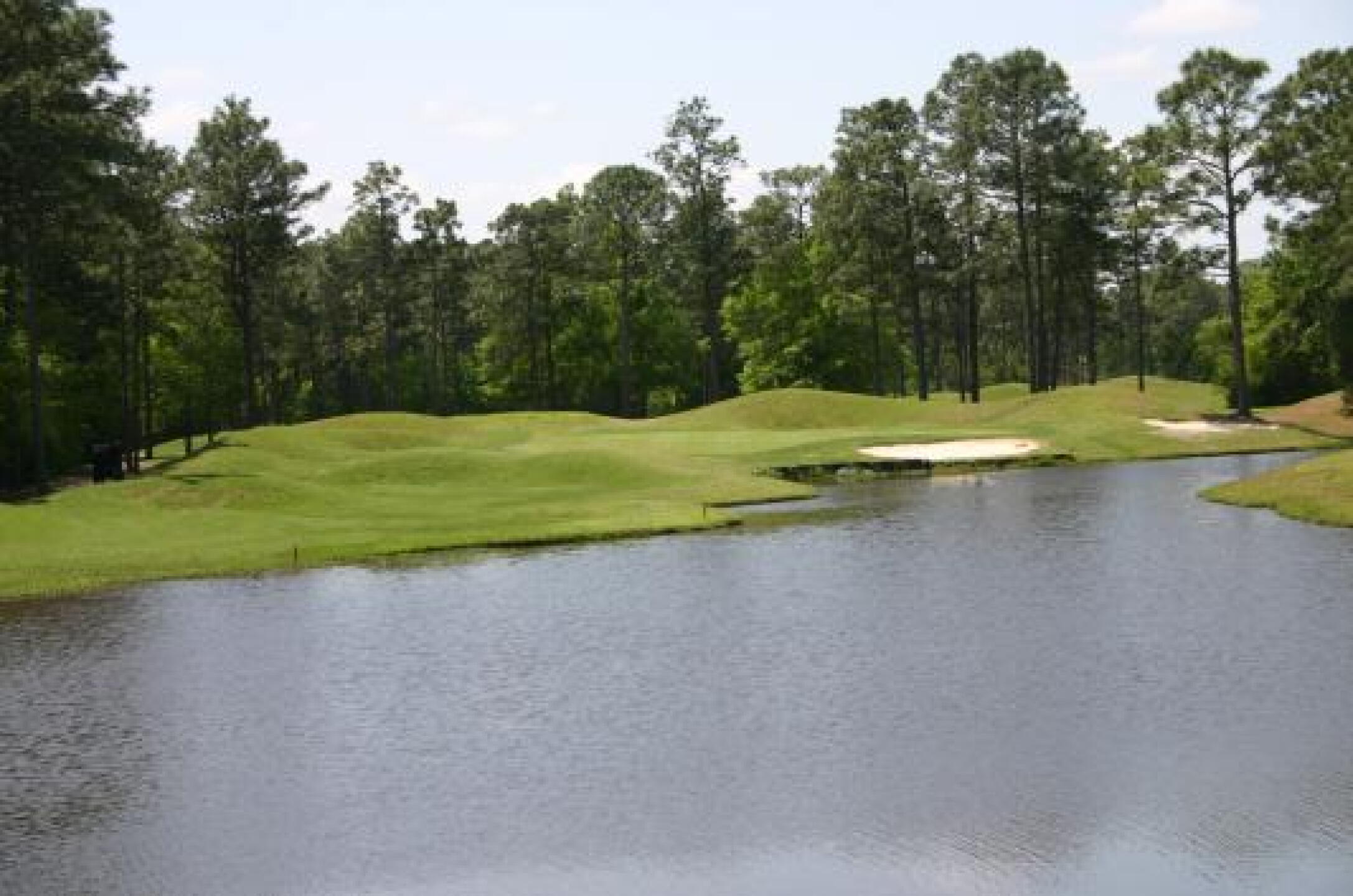 8th Hole, Par 3 (Photo submitted by tomumps2000 on 04/22/2013)