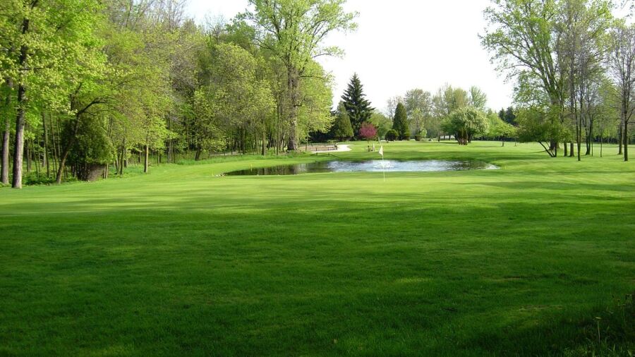 Branch River CC: #5