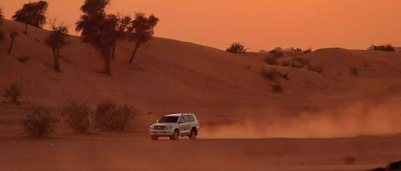 Desert Safari