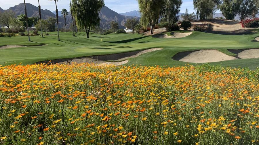 Indian Wells Celebrity Course - flowers